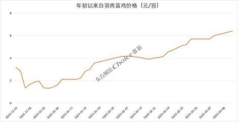 價(jià)格暴漲374%，新一輪“雞周期”來了？苗雞市場異動背后的邏輯與展望